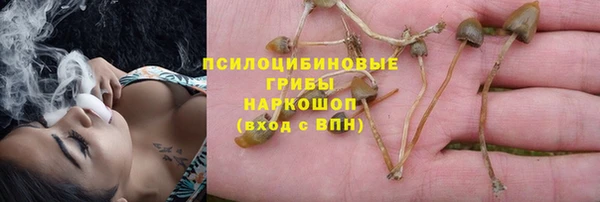 ГАЛЛЮЦИНОГЕННЫЕ ГРИБЫ Алзамай